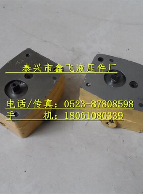 张家口44JS减速器油泵刮板机减速机油泵48JS内置润滑油泵双向油泵