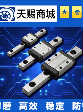 微型直线导轨SSE2BZ13-295/320/345/370/395/420/445/470