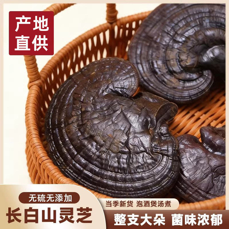 大朵灵芝正品长白山紫灵芝灵芝片正品泡酒灵芝养生茶【新疆停发】