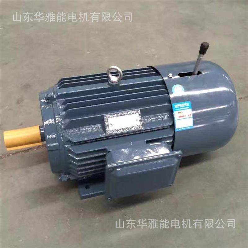 电动推杆JST-DTC160L-2-18.5电机B6安装轴上YSF电机美观有品位