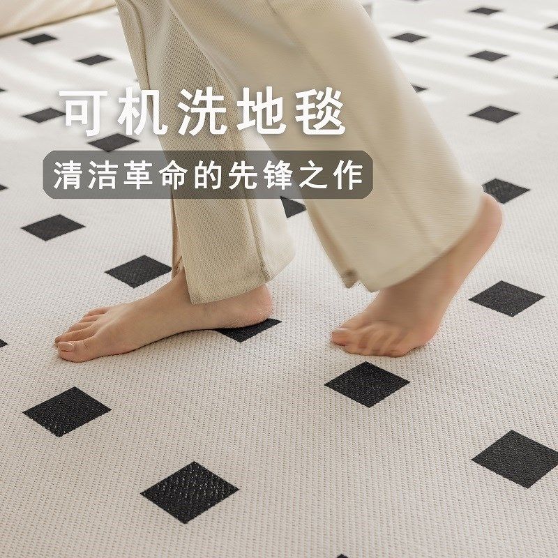 双层可机洗地毯客厅卧室202x4新款可拆洗换面沙发茶几无胶水洗地
