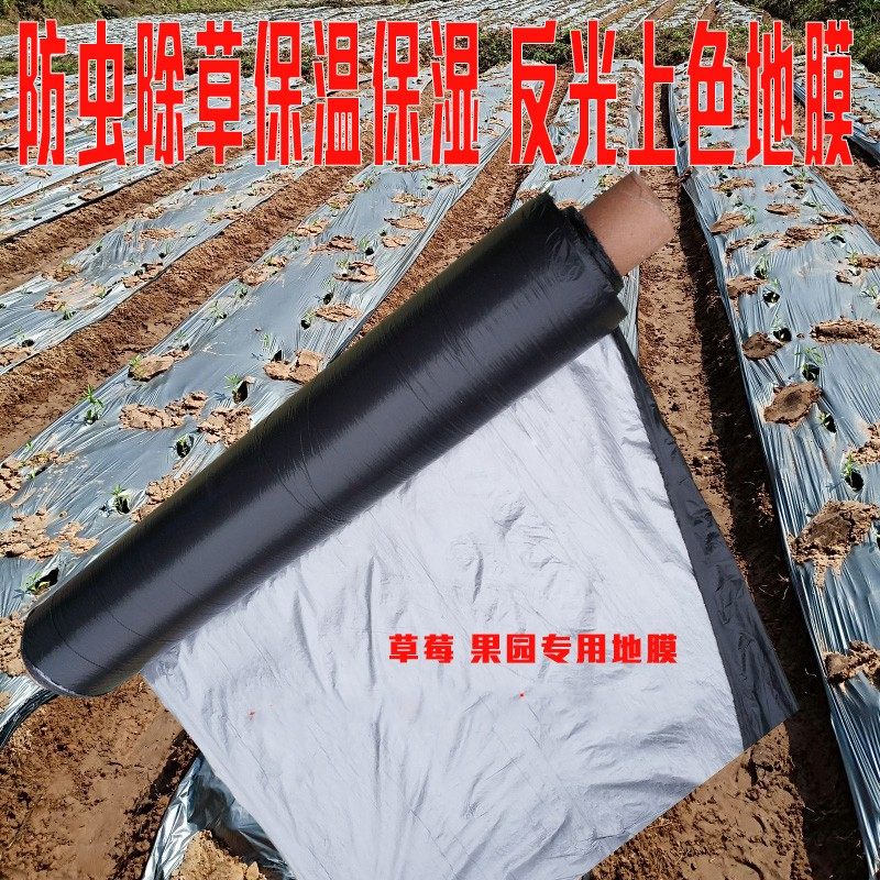 地摸塑料溥膜 防k草地膜透明加厚农用黑白地膜覆盖膜 果园防草除