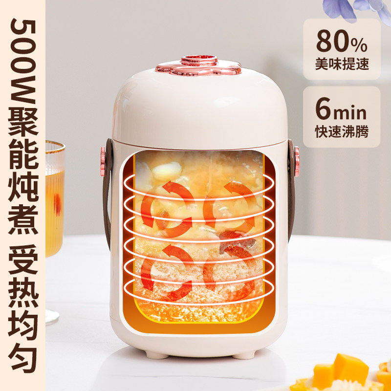 电炖锅小型多功能小炖锅r电煮锅煲汤煮面煮粥神器家用上班族电炖