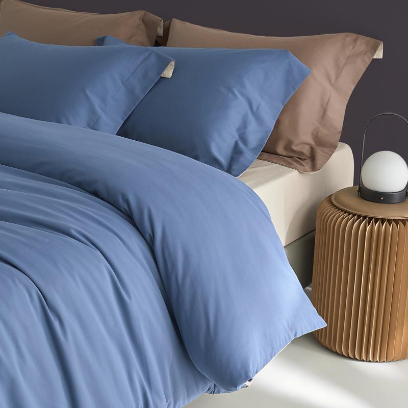 洲棉10澳0支件长绒棉纯纯棉磨毛加厚RMV四套秋冬季加厚双人床单被