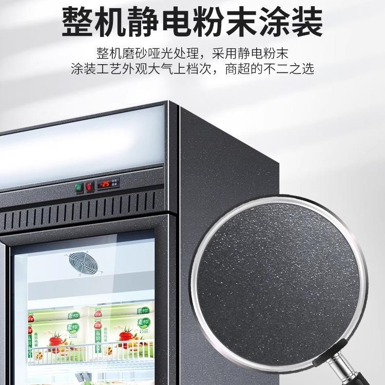 温冷冻展示484柜商用急冻淇柜商场超市冰箱冰淋低风冷立式冰柜柜
