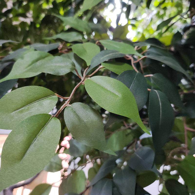 落仿宿真绿植榕树庭院布景园艺装饰大型地摆件酒店民摄弯杆榕树影