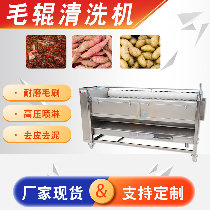 海蛎子毛辊清洗机果蔬根茎清洗