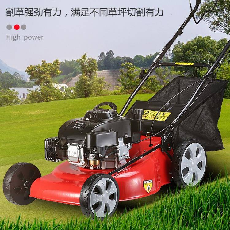 园用草坪修剪机小型汽油花园手推式除草机公林绿园化修AL-65539草
