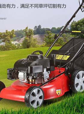 园用草坪修剪机小型汽油花园手推式除草机公林绿园化修AL-65539草