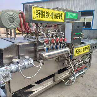 全自烧毛机猪头烧毛猪蹄动羊头羊蹄撩毛机XUG连式毛燎机续工厂