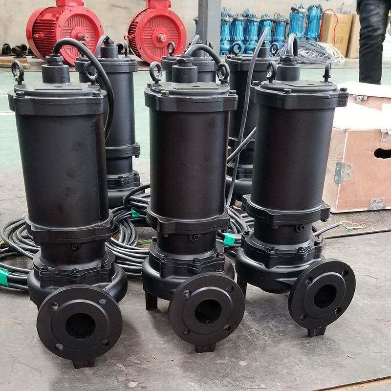 潜排污泵自动淋VEZ喷工程项目无污水提升水泵法兰接口堵塞潜污水