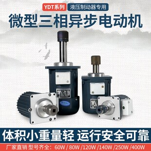 南阳微防微型三相异步电机制动器象山/南召/天力YDT/ASF 60W80W