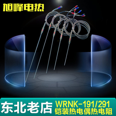 K/J/T型测温铠装热电偶探针式WRNK-191/291温度传感器PT100热电阻