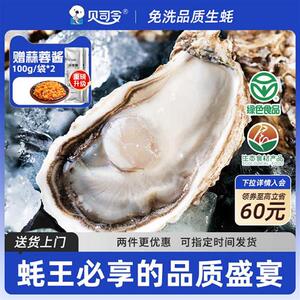 贝司令乳山生态生蚝鲜活10斤特大7XL蚝王牡蛎肉海鲜新鲜蒜蓉海蛎