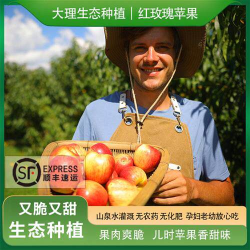 大理生态糖心丑苹果甜脆多汁无农残不打蜡现摘当季水果新鲜包顺丰