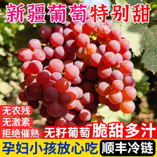 新疆葡萄吐鲁番玻璃翠葡萄新鲜应季水果胜无核白无籽红提脆甜顺丰