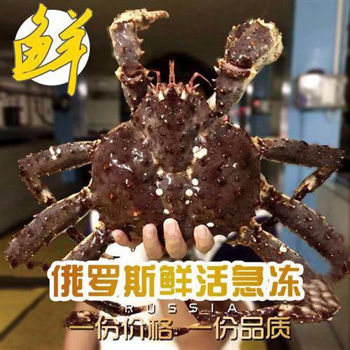 俄罗斯帝王蟹海鲜鲜活进口10斤超大活冻帝王蟹长脚蟹