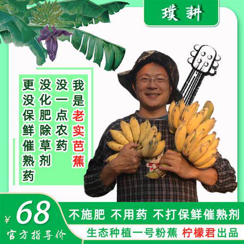 柠檬君生态芭蕉一号粉蕉云南高山新鲜水果无保鲜催熟剂4.8斤包邮