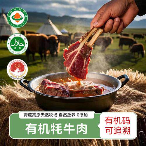 有机牛肉 原切新鲜高原牦牛肉菲力牛排金钱腱牛腩牛腱子肉