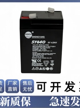 SHENGYANG晟阳蓄电池 SY640 6V4AH 玩具车 童车 电子称用电瓶