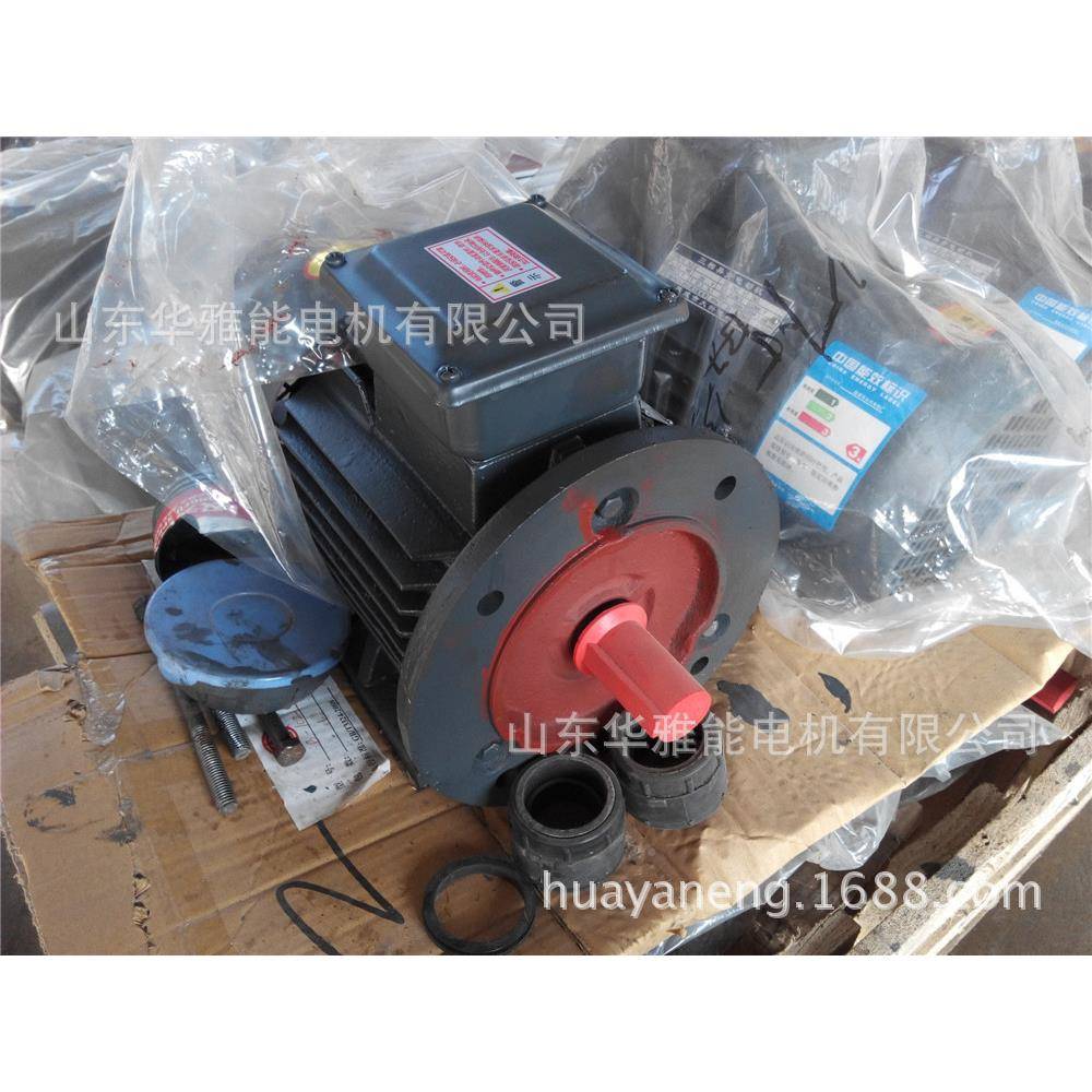 可替代潭电QHH机YE5-9湘0S-6-0.75K0W立式卧式上线侧线8VIP55电机