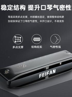 FEIAFN十孔c调y孔布鲁斯圆口琴paCFTdd成人男士初学蓝调学生专业