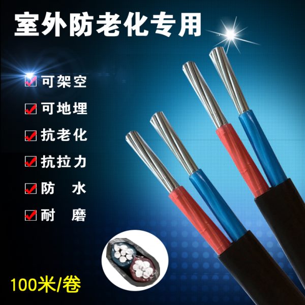 国标电线2.5 4 6 10 16 25 35平方架空铝线2股铝芯户外电缆护套线