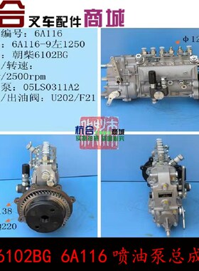 6A116-9左1250柴油泵总成 适用6102BG发动机 6A116喷油泵总成