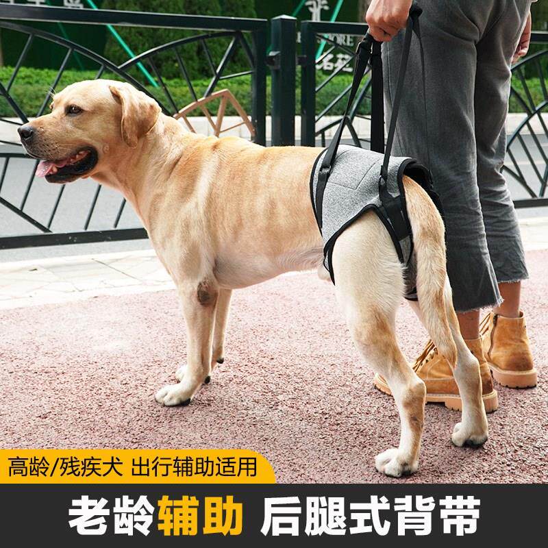 老龄犬外出辅助背带后背式狗后腿行走受伤牵引背带残疾狗狗辅助带