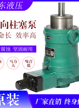 启东高压油泵10 25 40 63 80 160YCY 250YCY14-1B轴向柱塞泵液压