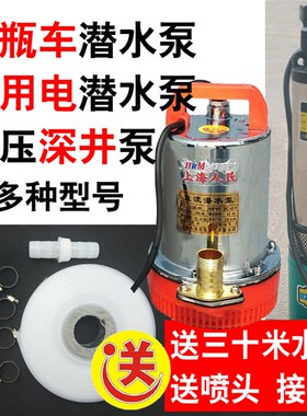 直流潜水泵12V48V60伏电瓶车电动车浇菜浇水泵船用农用深井抽水机