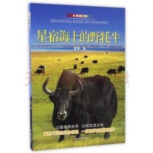 星宿海上的野牦牛（影像青少版） 袁博 浙江摄影出版社 9787551415927