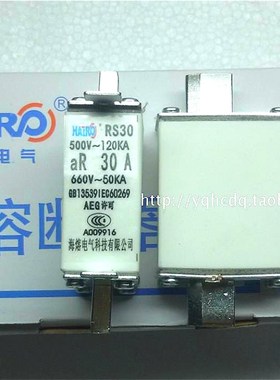 正品 海熔 快速熔断器RS30-30A/500V 保险丝