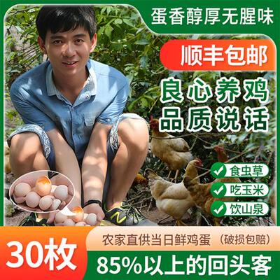 正宗土鸡蛋农家散养新鲜农村自养野外笨柴月子天热五谷虫草蛋30枚