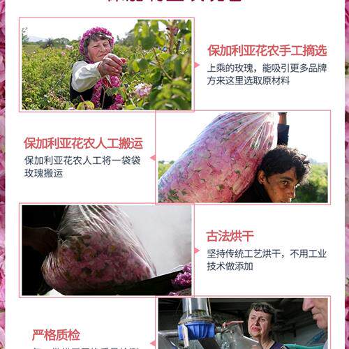 Msrosa玫瑰茶保加利亚有机茶特别级无硫无农药美容花茶花草茶60g