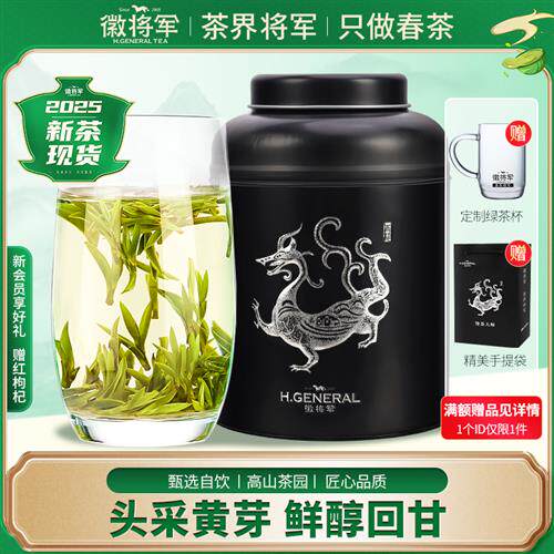 徽将军2025新茶小古明前霍山黄芽黄茶安徽茶叶开园嫩芽特级250g
