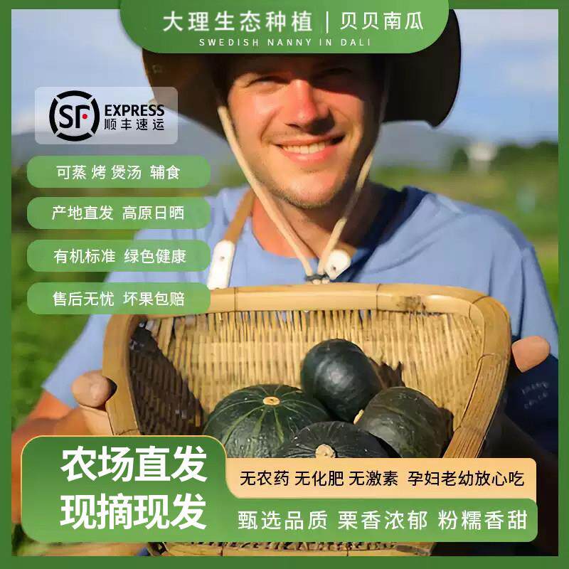 云南生态种植贝贝南瓜板栗日本小南瓜新鲜宝宝副食品粉糯香顺丰营