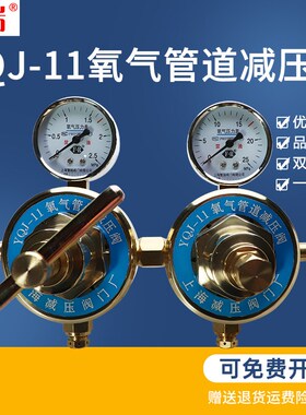 繁瑞氧气管道减压阀YQJ-11全铜氧气O2压力表氧气减压器气体阀门厂