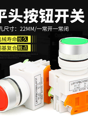 自复位 平头按钮开关 LAY37-11BN 平头按钮 22MM Y090 常开常闭