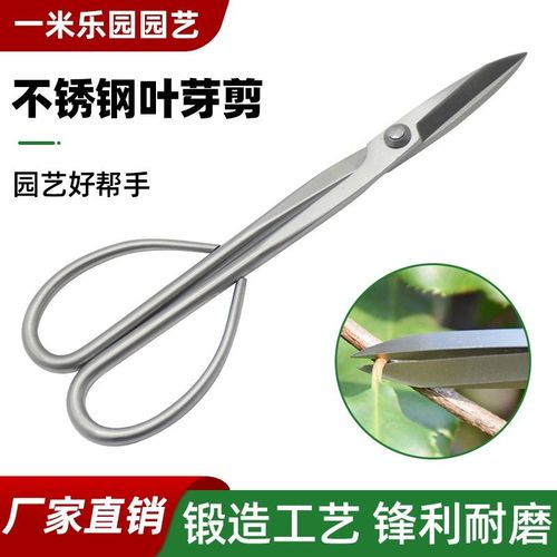 高级不锈钢叶芽修枝剪园林园艺盆景专用修枝造型剪刀锋利工厂直销