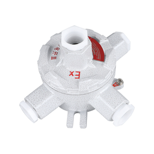 防爆接线盒IIB 4分线盒DN20防爆吊灯盒 IIC防爆分线盒防爆穿线盒3