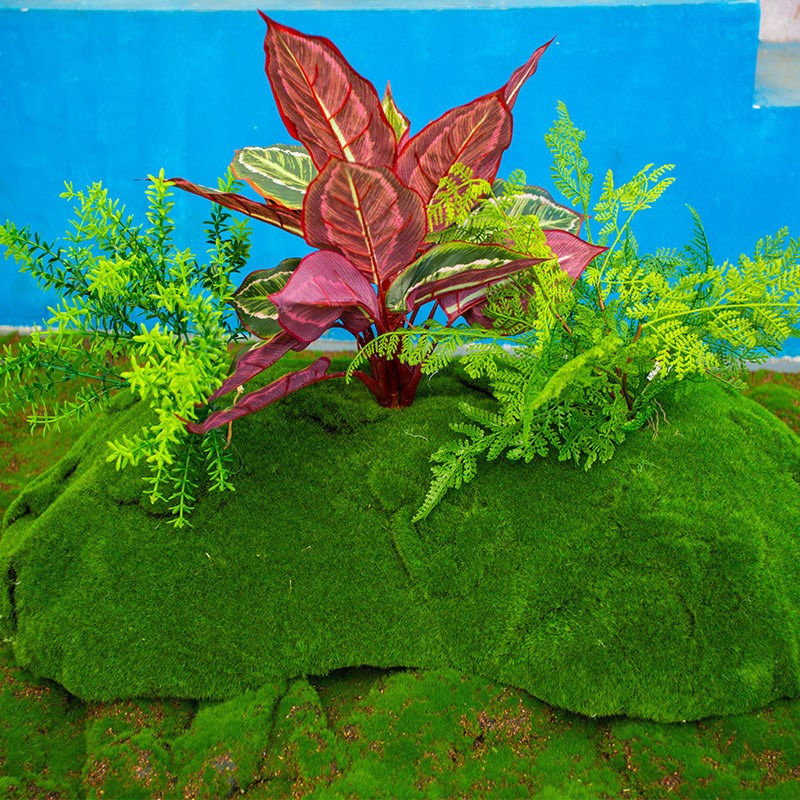 青苔人造草坪室内盆景造景石长草假苔藓植物墙背景装饰微景观