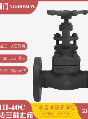 J41H-40C蒸汽导热油A105锻钢高温高压法兰截止阀DN20 25 32 40 50