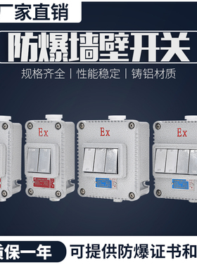 防爆开关墙壁 220V 10A防爆照明开关一位二位三位工业隔爆型开关