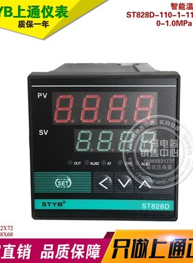 STYB 上通仪表 ST828D-110-1-1112-01-0 智能温度调节仪