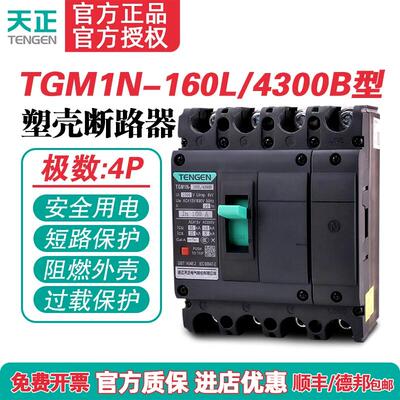 TENG天正M1N-160L/43BA
