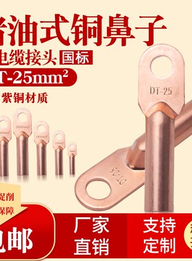 DT-25平方铜鼻子 电缆接线头 铜耳式 接线端子接线鼻 五星国标A级