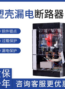 厂家直销DZ25L-200/4300 63A 100A 160A 200A 250A 漏电断路器 4P