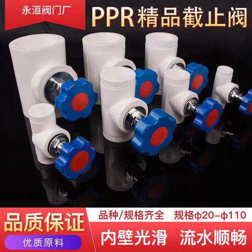 ppr阀门 ppr升降式球阀 20 25 32 4分6分1寸 PPR闸阀截止阀水管接