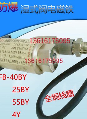 EX 防爆湿式阀用电磁铁 BMFB-25BY BMFB-40BY 8GY BMFB1-4Y 5.5Y